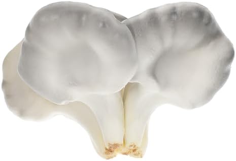 VALICLUD Realistic Mushroom Figurine Desktop Photo Prop