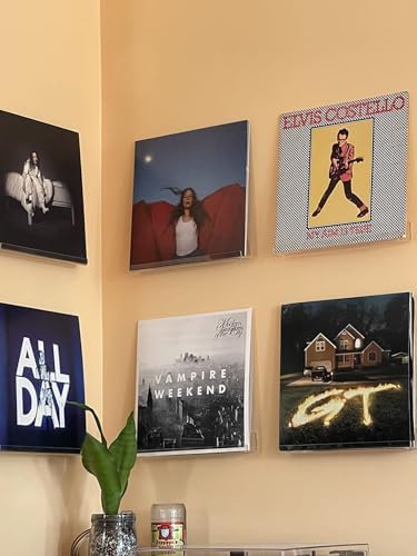NIUBEE Clear Vinyl Shelf Wall Mount 6 Pack