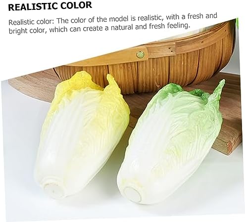Zerodeko Realistic Chinese Cabbage Artificial Display Posing Prop