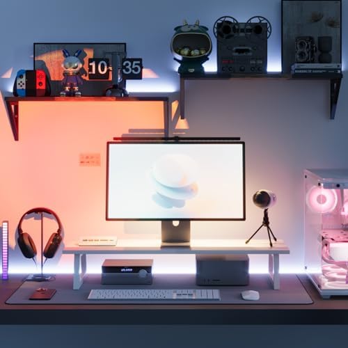 TEAMIX White Dual Monitor Riser for Office Desk