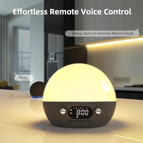 MOMILLA Sunrise Alarm Clock with Bluetooth Speaker