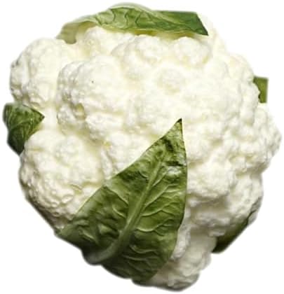 STOBAZA Realistic Fake Broccoli Photography Prop