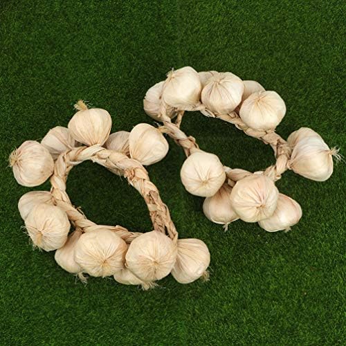Yardwe Garlic Hanging String Decor 3pcs Photo Posing Prop