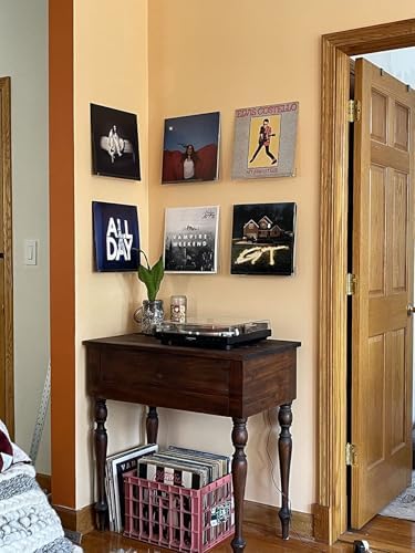 NIUBEE Clear Vinyl Shelf Wall Mount 6 Pack