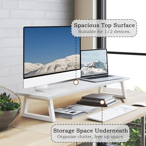 TEAMIX White Dual Monitor Riser for Office Desk