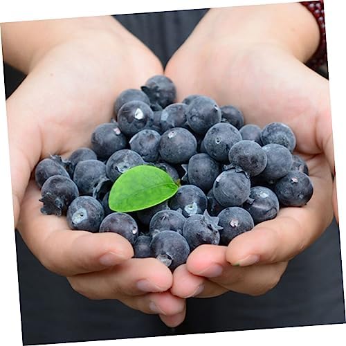 PRETYZOOM 24Pcs Realistic Blueberry Posing Props