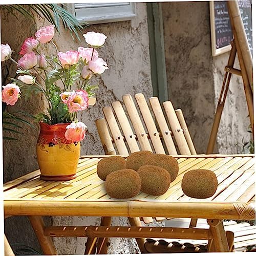 Homoyoyo Artificial Kiwi Decor Set of 6