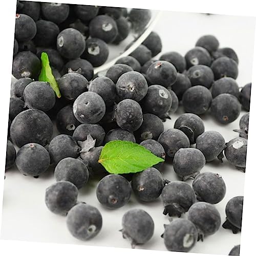 PRETYZOOM 24Pcs Realistic Blueberry Posing Props