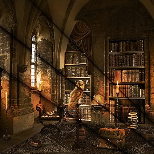 Halloween Bookshelf Backdrop for Photo Studio