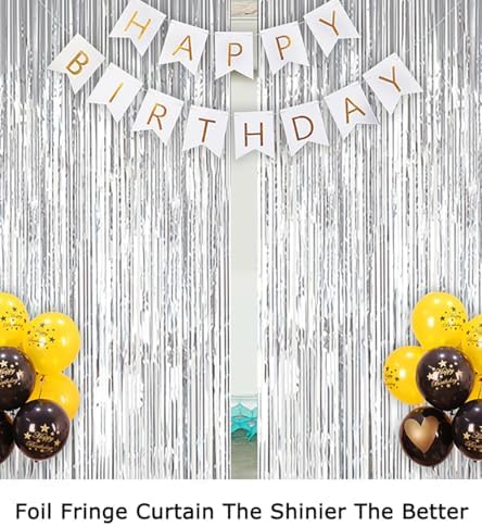 ShiDianYi Silver Foil Fringe Curtain Backdrop