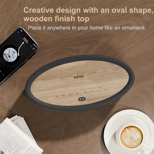 KEiiD Bluetooth Clock Radio Speaker with Dual Alarms and FM Radio