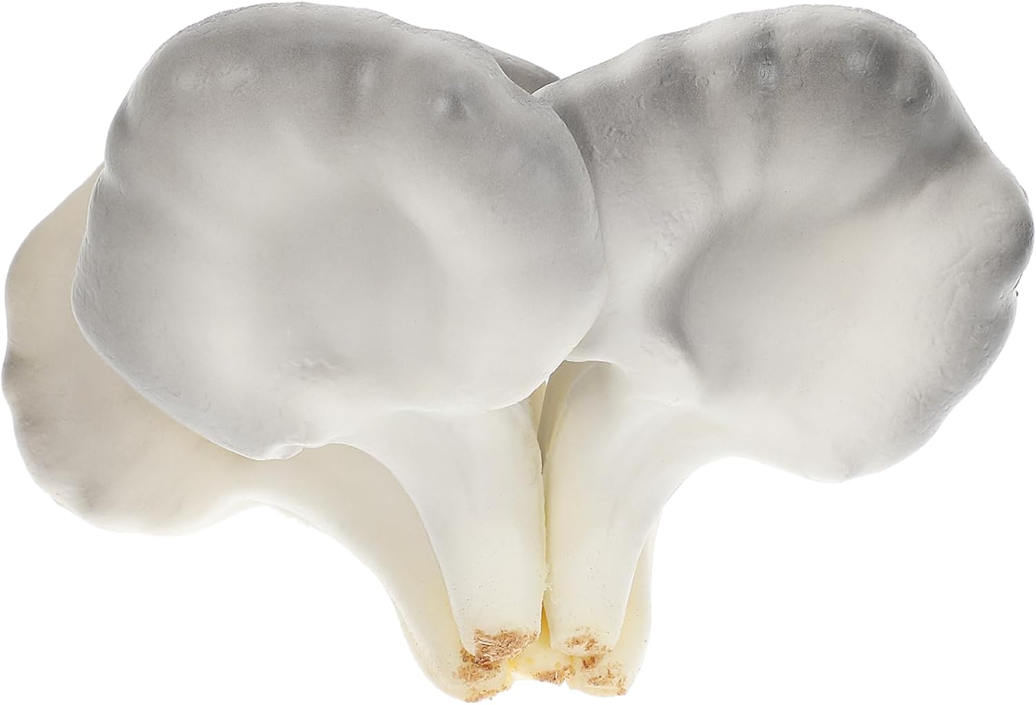 VALICLUD Realistic Mushroom Figurine Desktop Photo Prop