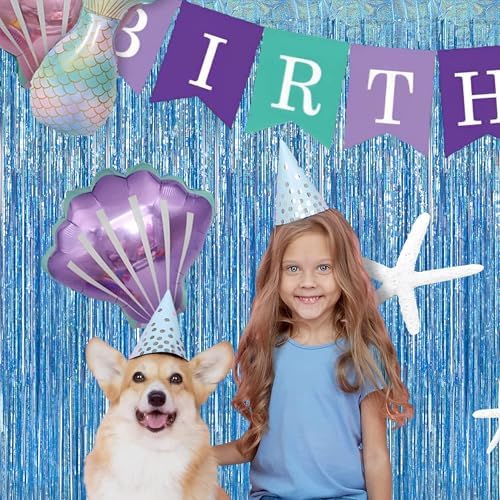 Braveshine Light Blue Tinsel Foil Curtains 2Pcs