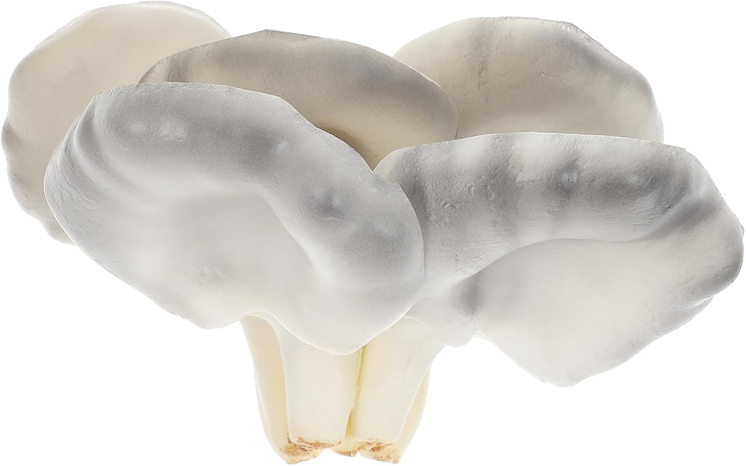 Vivid Simulated Mushroom Decor for Desktop Display