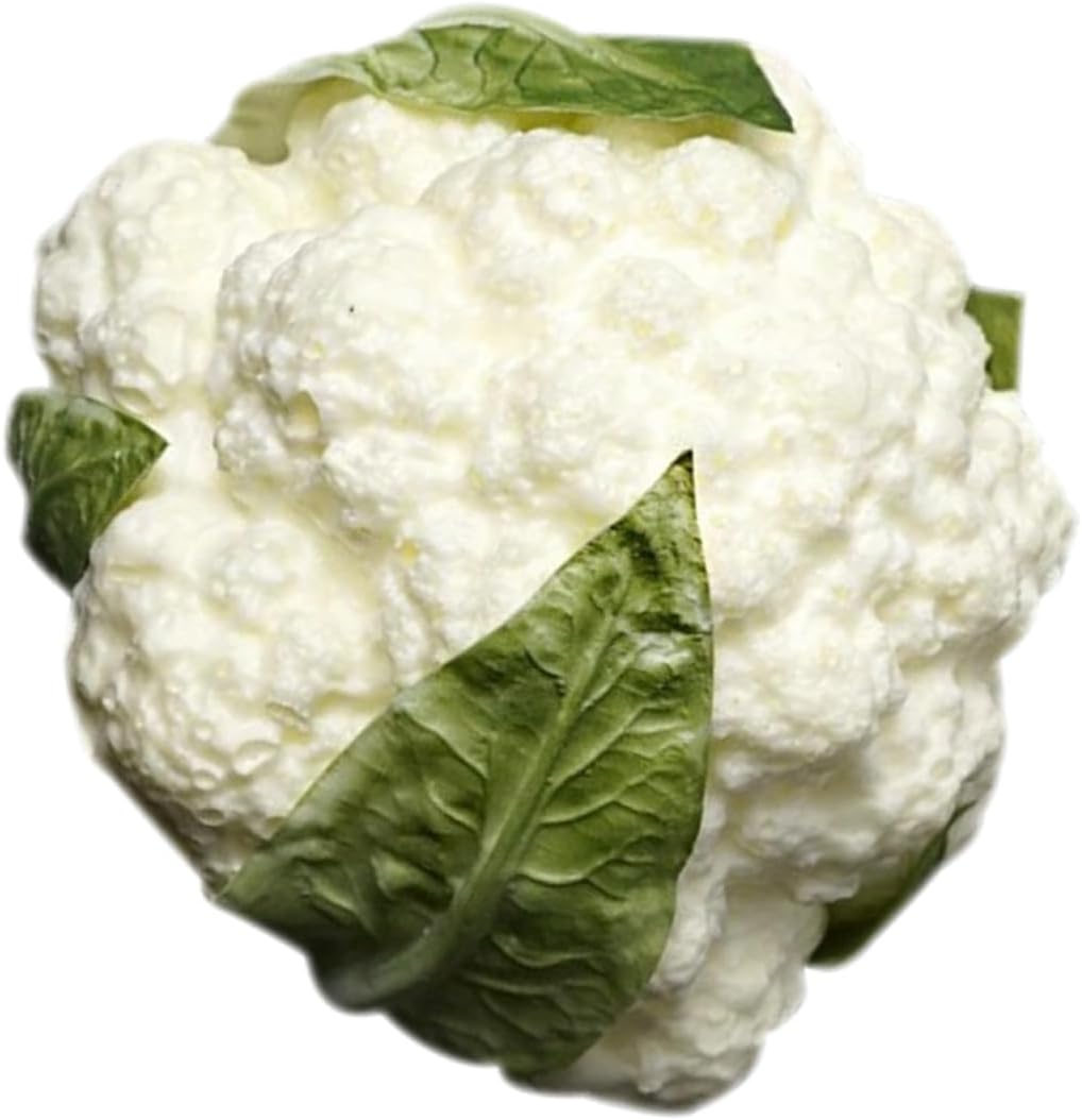 STOBAZA Realistic Fake Broccoli Photography Prop