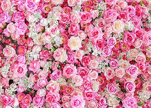 XLL 3D Pink Rose Photo Background 5x3ft Vinyl