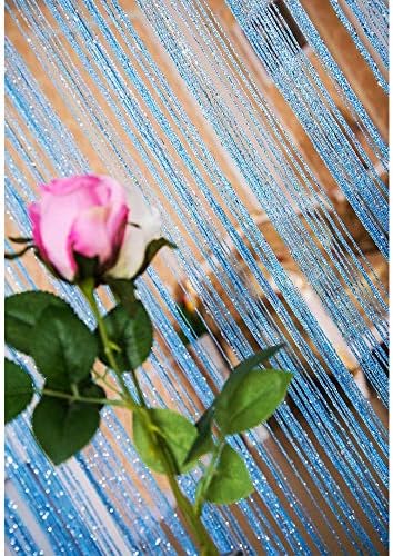 Duosuny 39x78 Inch Silver Ribbon Door Curtain