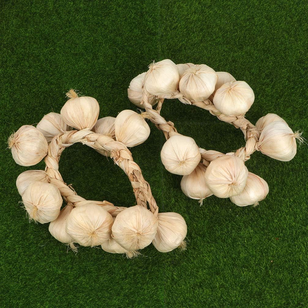 Yardwe Garlic Hanging String Decor 3pcs Photo Posing Prop