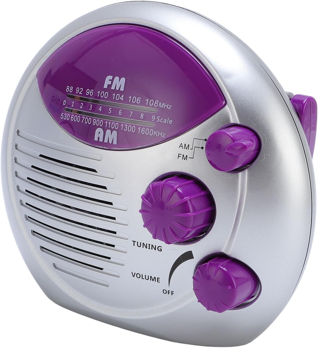 Waterproof Portable Shower Radio with AM FM and Battery Power