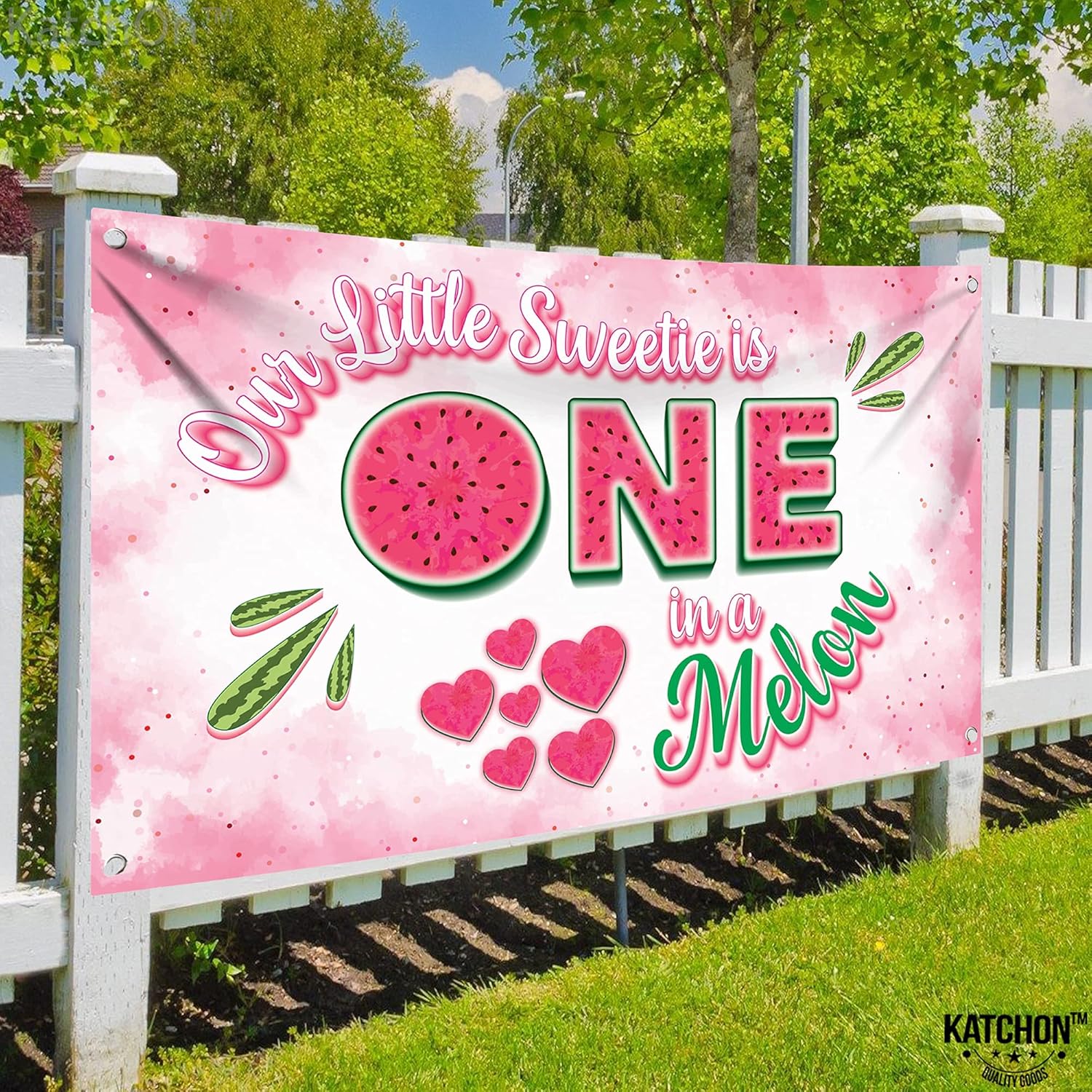 XtraLarge One in a Melon Backdrop - 72x44 Inch